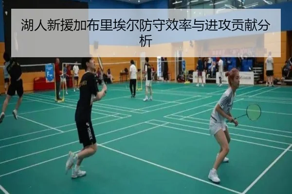 湖人新援加布里埃尔防守效率与进攻贡献分析